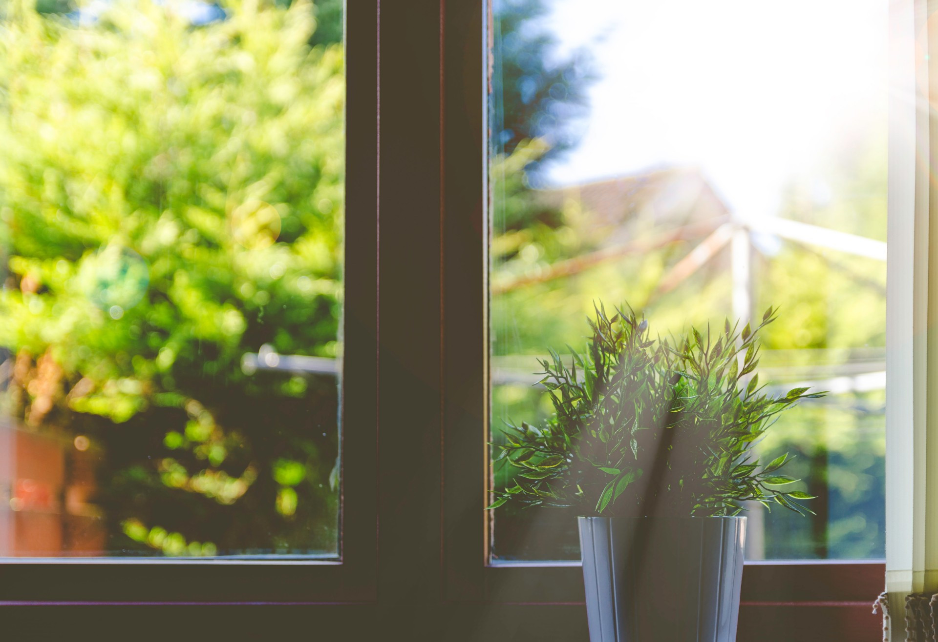 Site Survey: Windows & SHGC